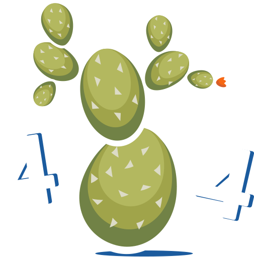 smartsteuer 404 Kaktus