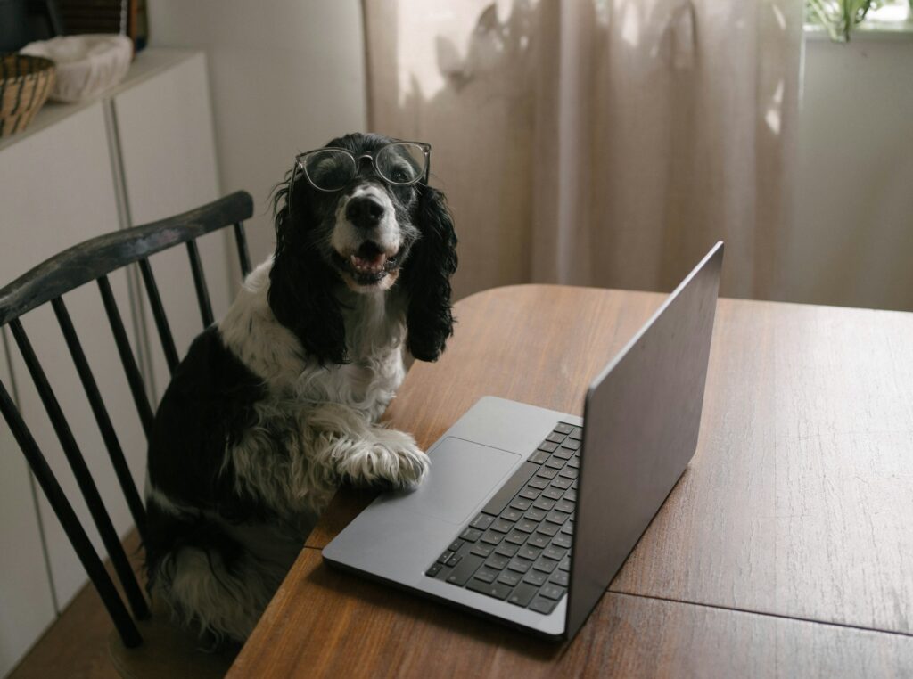 Hund am Laptop