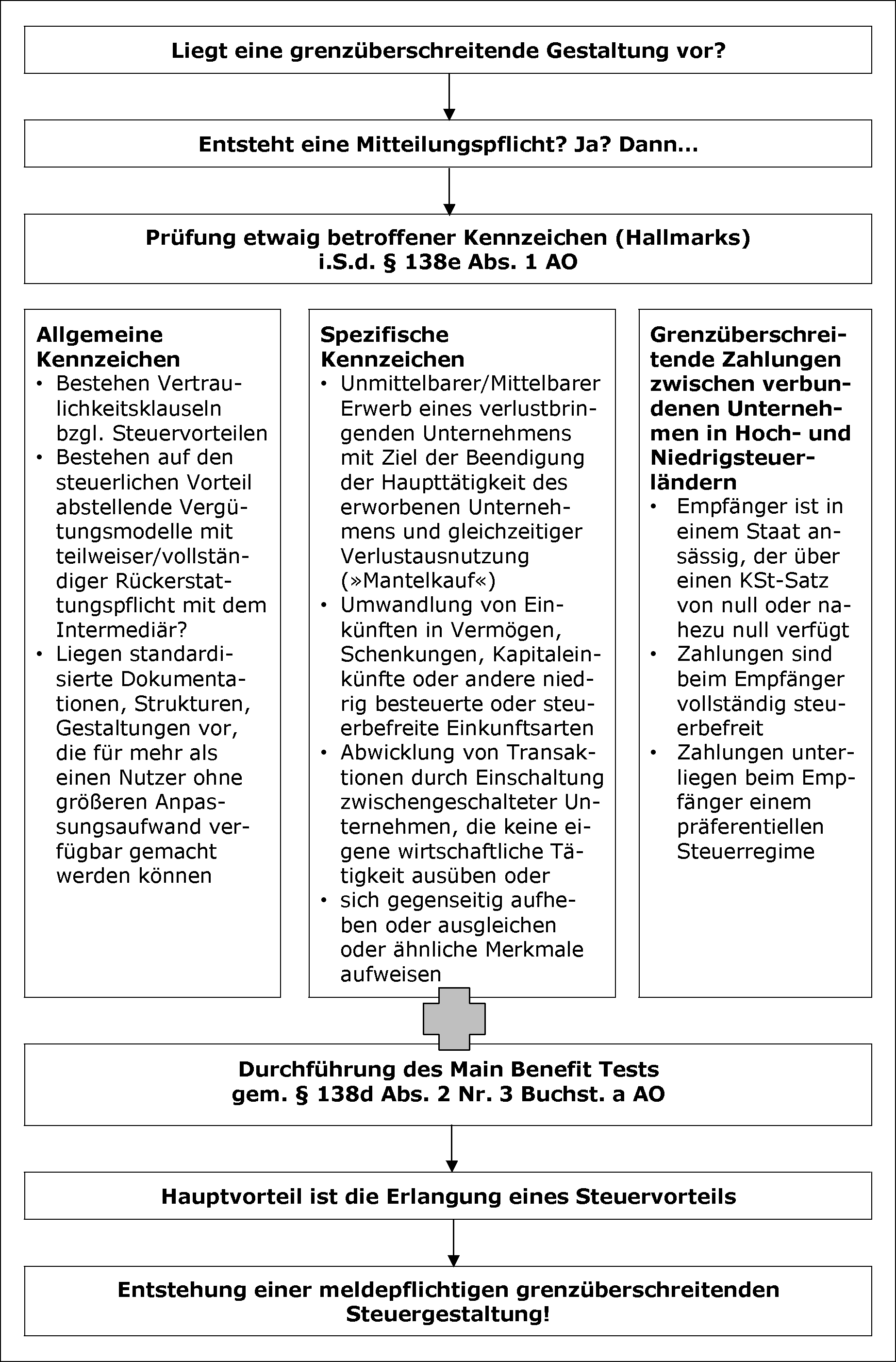 Prüfung von Kennzeichen gem. § 138e Abs. 1 AO
