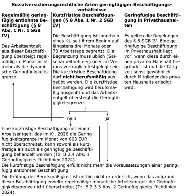Die geringfügigen Beschäftigungsverhältnisse im Überblick